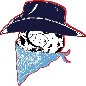 Texas Blues Baseball